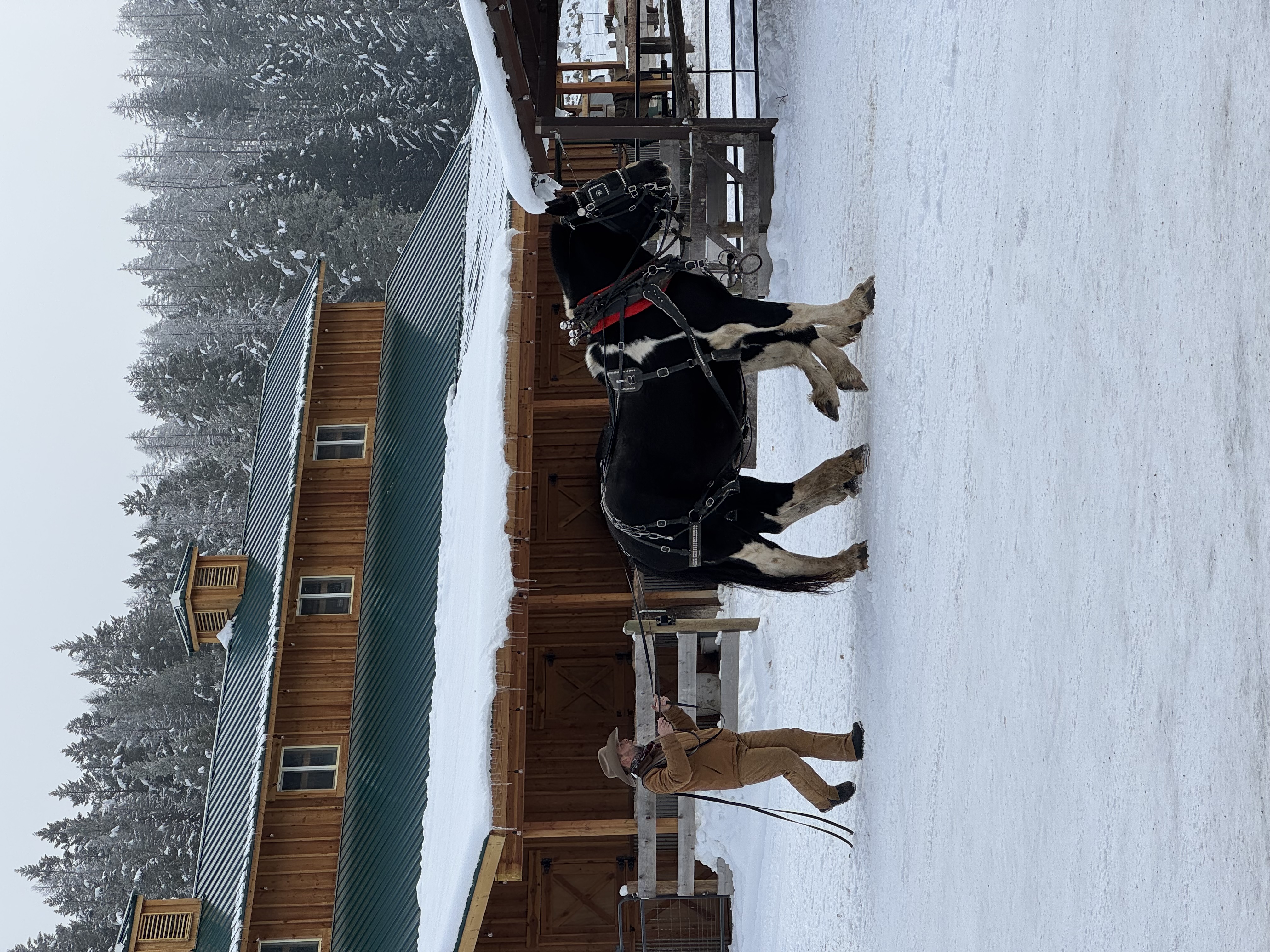 Bar W Guest Ranch near Whitefish for horseback riding and sleigh rides