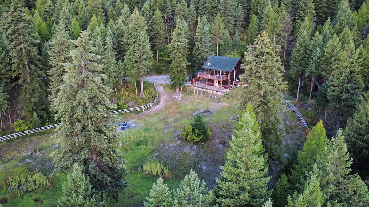 Aerial view of the cabin surrounded by forest on 15 private acres