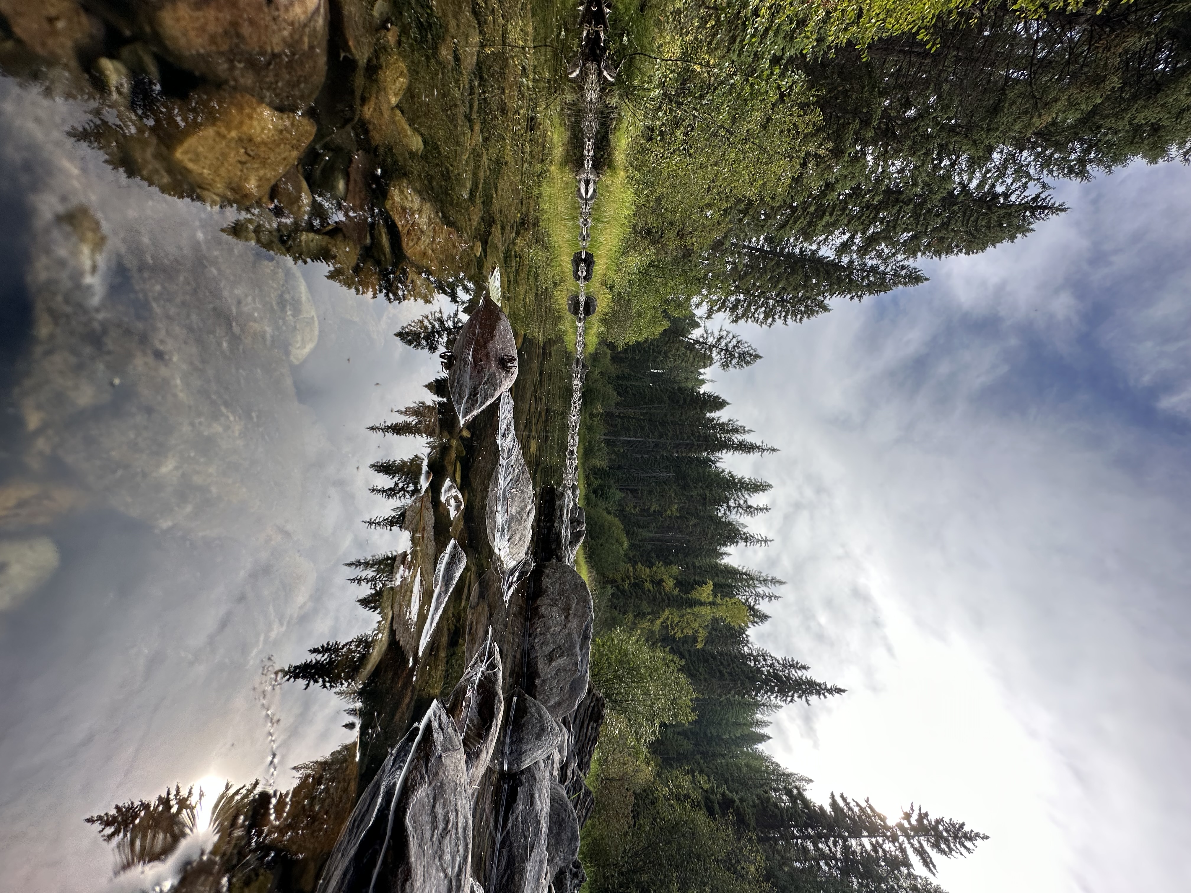 Stream flowing toward Tally Lake through the forest